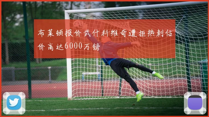 布莱顿报价武什科维奇遭拒热刺估价高达6000万镑