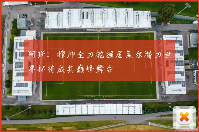 阿斯：穆帅全力挖掘居莱尔潜力世界杯将成其巅峰舞台